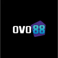 OVO88 - Balap Mobil Seru dan Adrenalin Tinggi